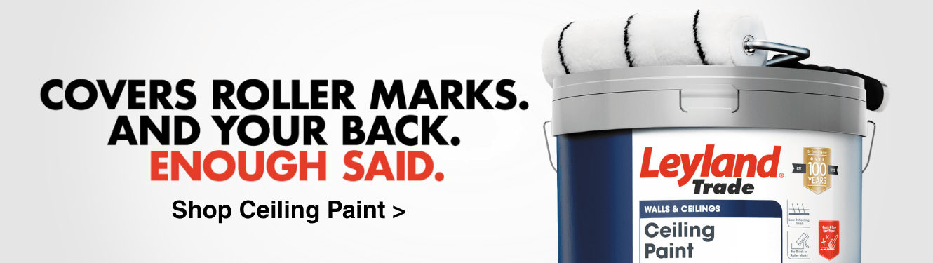 Enough Said Ceiling Paint
