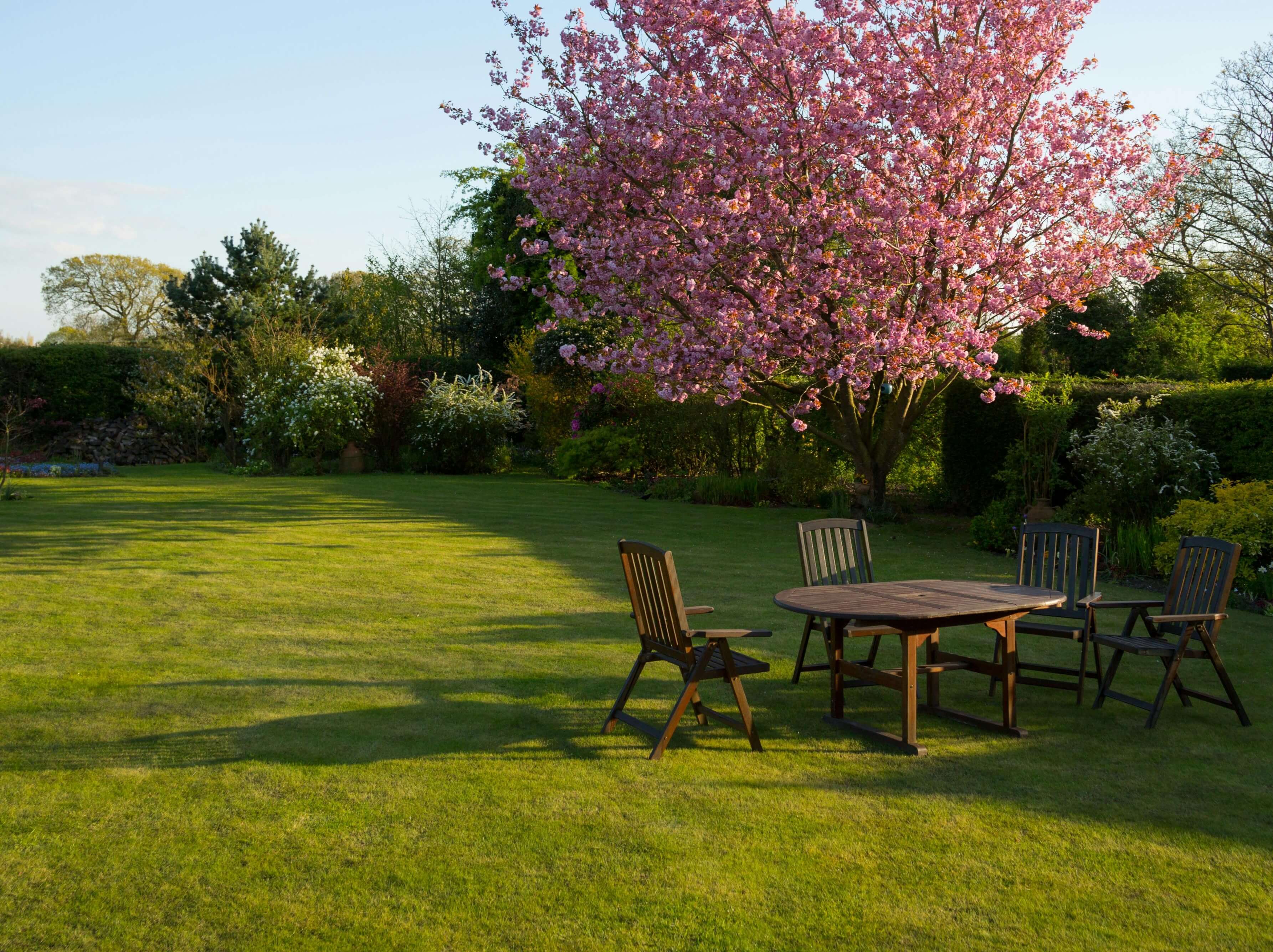 <h1>How To Care For Your Lawn</h1>
