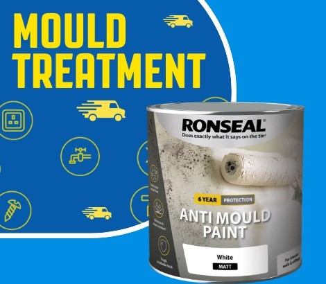 Mould Treatment