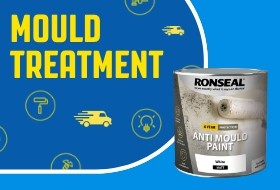 Mould Treatment